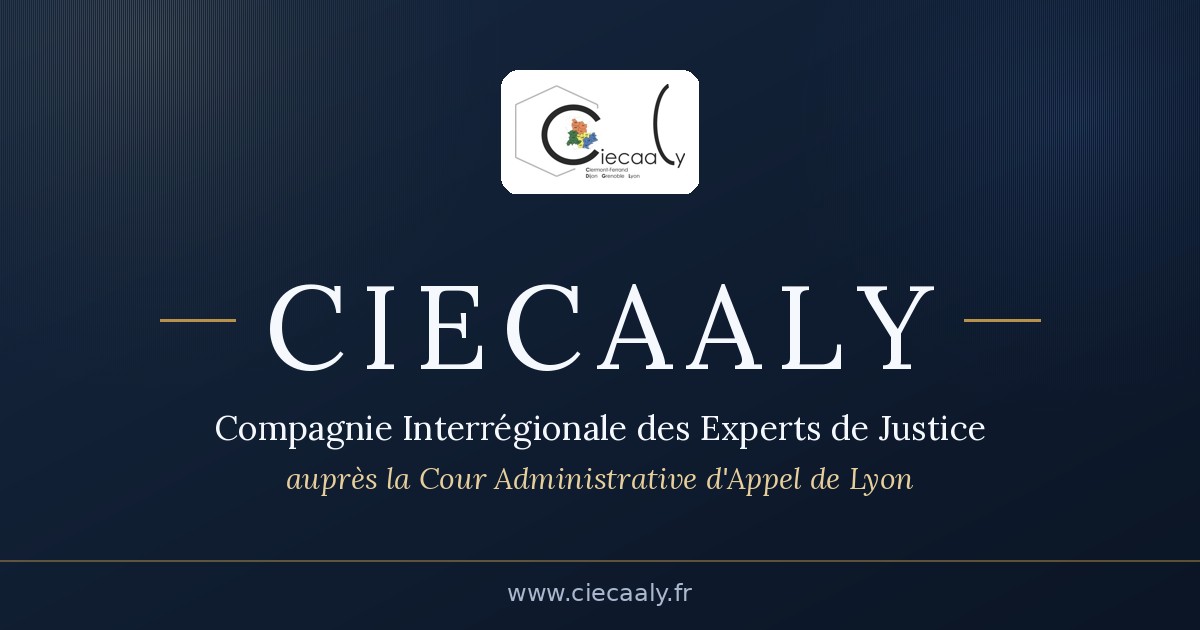 Formation : La facturation électronique pour l’expert de justice.